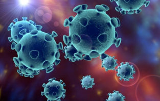 Screenshot 2020-11-20 at 19.33.52