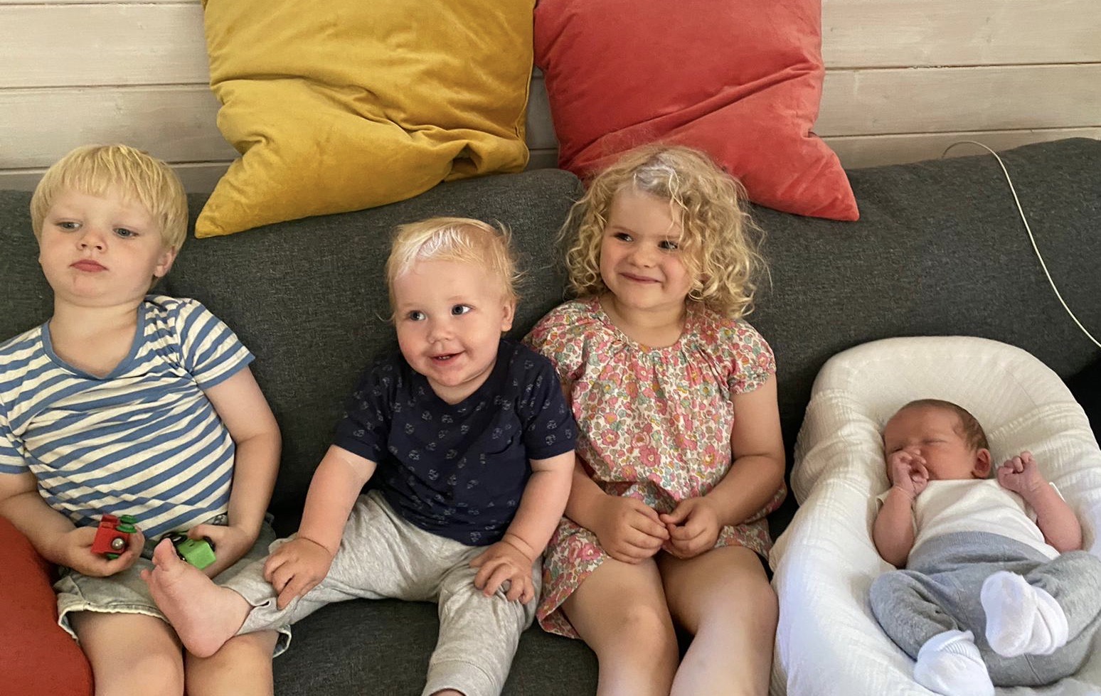 a44ad3bd-ea31-4c44-8246-c03d0010b0b7