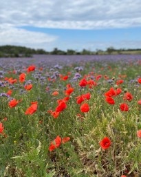 386B6E1C-BC85-4E52-BC4A-2C012B31E6A9