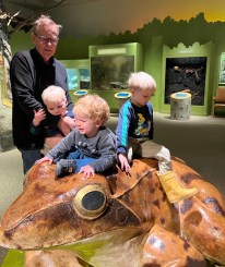 2255830a-bb04-4bf5-a2e6-a88d881c2b28