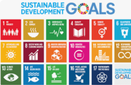 Skärmavbild 2023-03-24 kl. 12.29.06