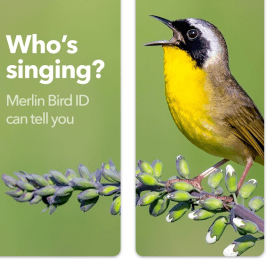 Skärmavbild 2023-05-16 kl. 12.27.17